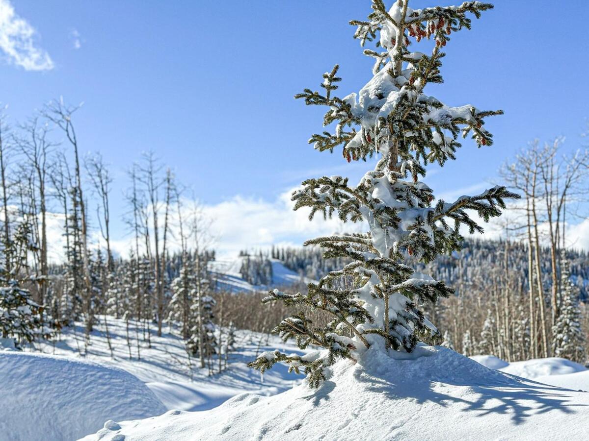 Eagle Roost Retreat By Ski Lifts Brian Head Zewnętrze zdjęcie